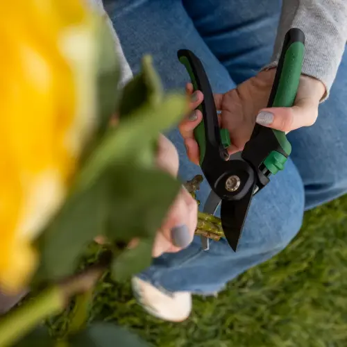 Expert Gardener, 1-Inch Cutting Bypass Pruner - 19