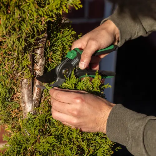 Expert Gardener, 1-Inch Cutting Bypass Pruner - 21