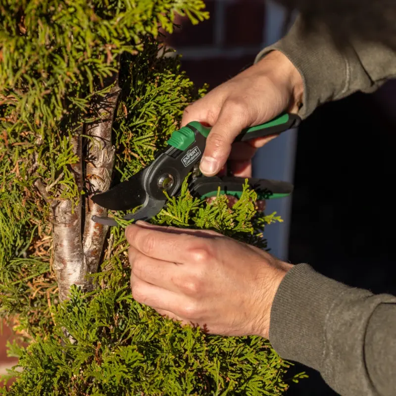Expert Gardener, 1-Inch Cutting Bypass Pruner - 7