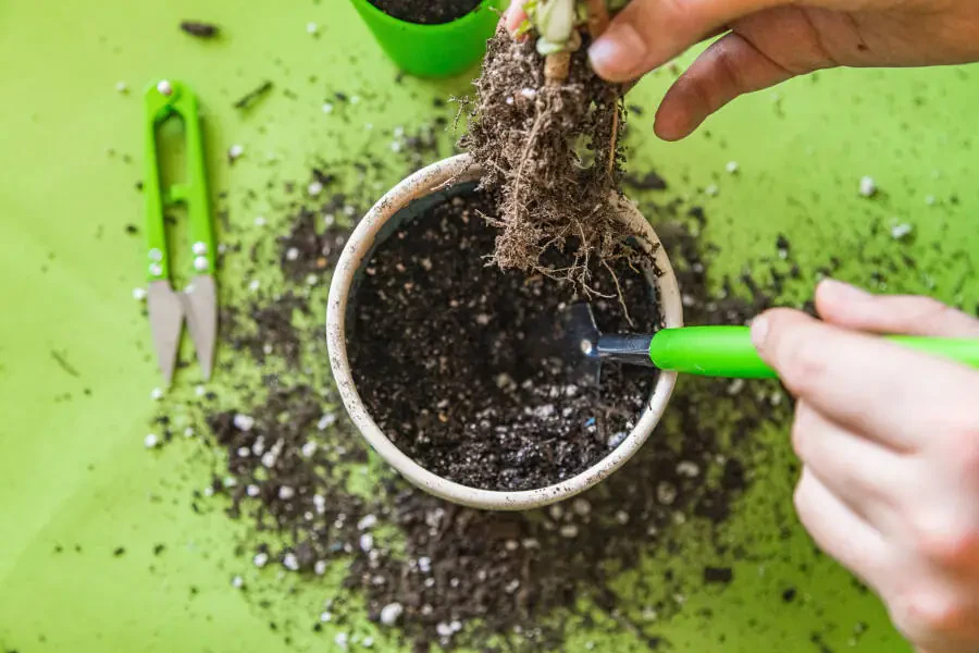 Expert Gardener Indoor Gardening Stainless Steel Tool Set, 14 Pieces, Green - 7