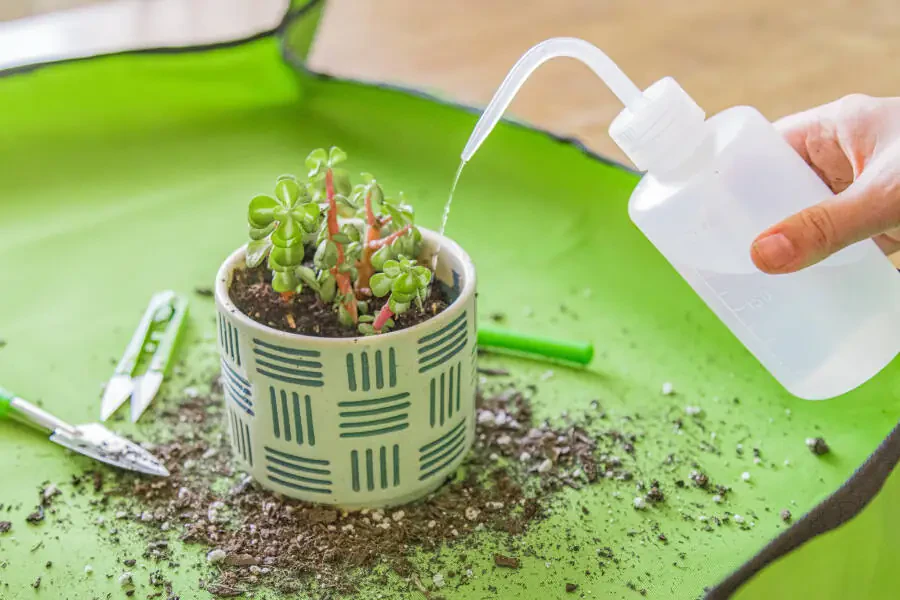 Expert Gardener Indoor Gardening Stainless Steel Tool Set, 14 Pieces, Green - 8