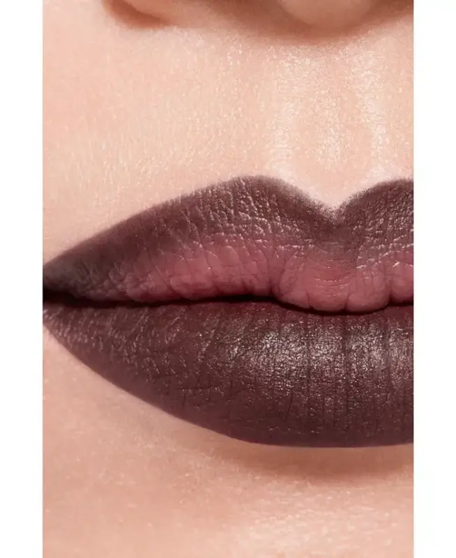 Longwear Lip Pencil - NEW! 204 BRUN FONCÉ - 3