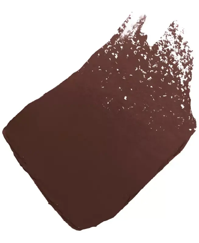 Longwear Lip Pencil - NEW! 204 BRUN FONCÉ - 6