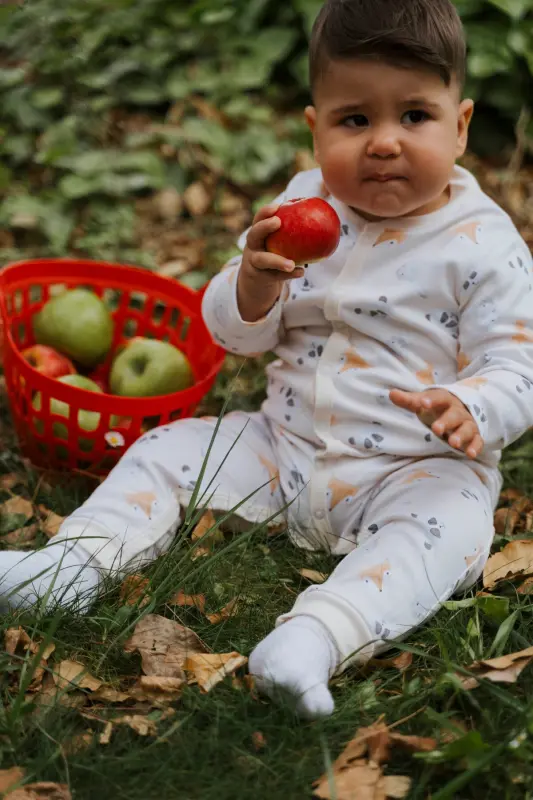 Uzun yengli kombinezon chaqaloq Rangli bosma organik paxta-ekru - MOLICA BABY