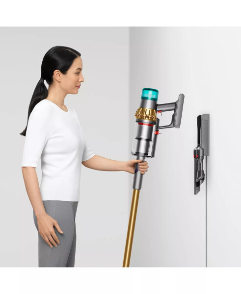 V15 Detect Absolute Cordless Vacuum Gold - 19