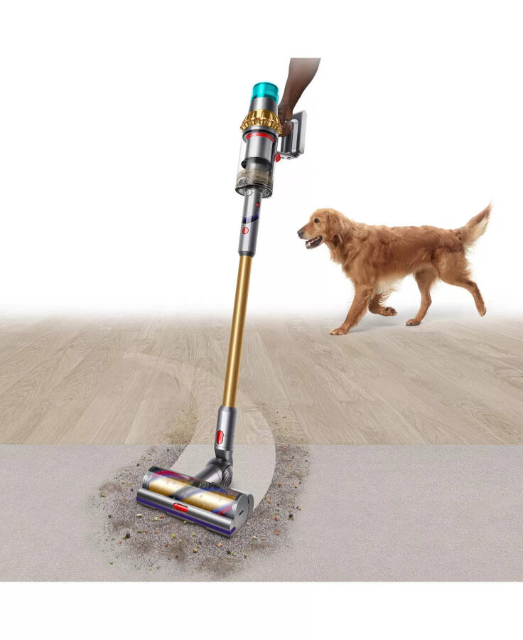 V15 Detect Absolute Cordless Vacuum Gold - 21