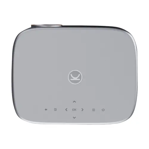 VANKYO Performance V700 Pro Native 1080P Outdoor Movie Projector, Built-in Google TV, Auto Keystone, Auto Focus, Bluetooth, Portable Projector, 120