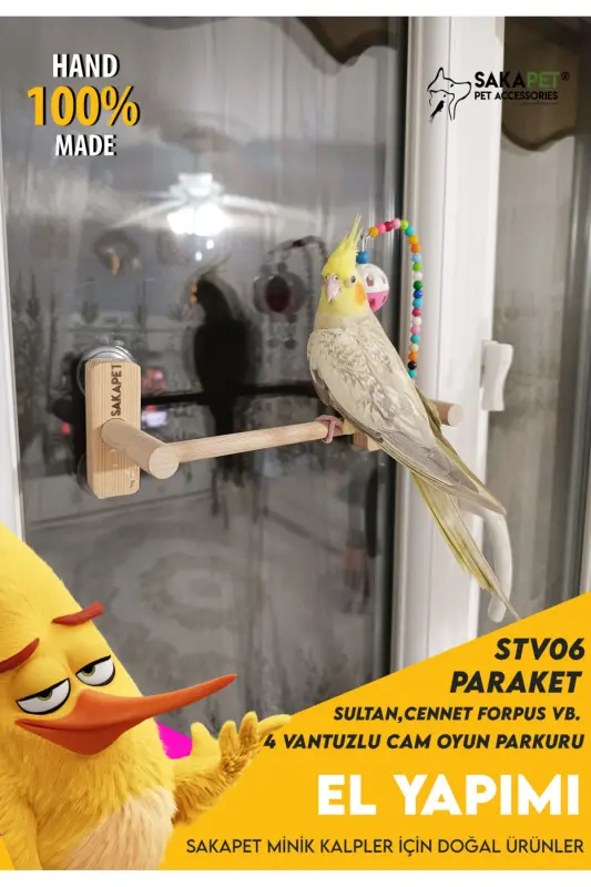 Vantuzlu Cam Oyun Parkı 4 Vantuzlu Cennet Forpus Muhabbet Kuşu - 3