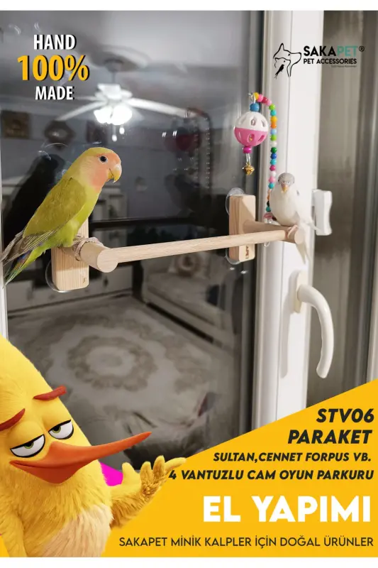 Vantuzlu Cam Oyun Parkı 4 Vantuzlu Cennet Forpus Muhabbet Kuşu - 4