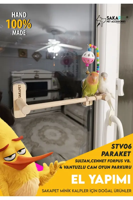 Vantuzlu Cam Oyun Parkı 4 Vantuzlu Cennet Forpus Muhabbet Kuşu - 5