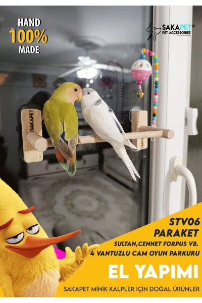 Vantuzlu Cam Oyun Parkı 4 Vantuzlu Cennet Forpus Muhabbet Kuşu - SAKAPET