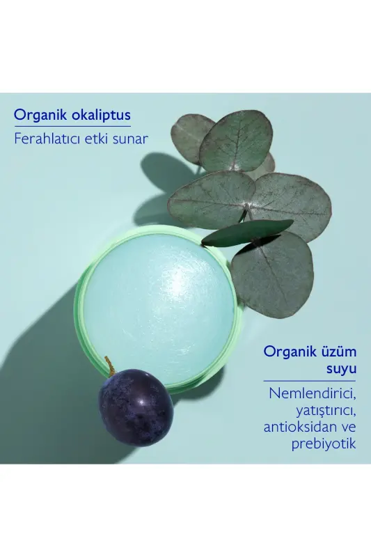 Vinofresh Doğal Stick Deodorant 50 gr - 2