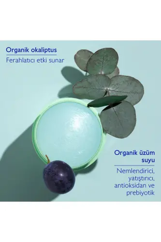 Vinofresh Tabiiy Stick Deodoranti 50 gr - 1