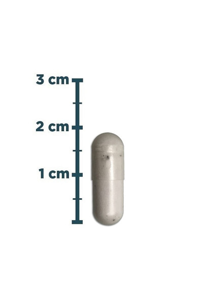 Vitamin B12 1000 Mcg 100 Kapsula - 3