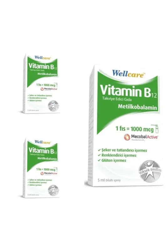 Витамин B12 1000 Мкг Спрей 5 мл 3 Упаковки - WELLCARE