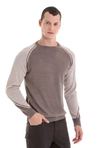 Vizon Regular Fit Bisiklet Yaka Jakarlı Yünlü Triko Kazak-Vizon - 1