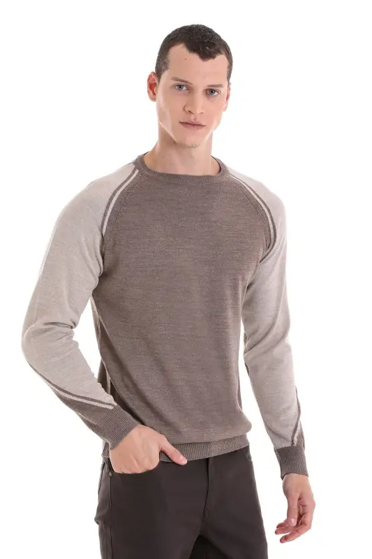 Vizon Regular Fit Bisiklet Yaka Jakarlı Yünlü Triko Kazak-Vizon - 1