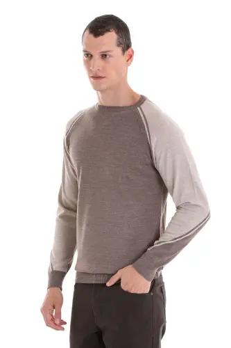 Vizon Regular Fit Bisiklet Yaka Jakarlı Yünlü Triko Kazak-Vizon - 3