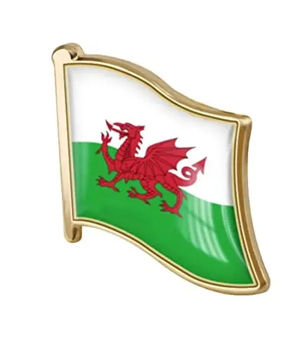 vmcoatdu Country Flag Pin Badge International Travel Brooch Metal Alloy Souvenir Pin for Hat Clothes Backpack - VMCOATDU