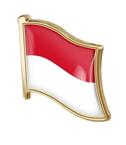 vmcoatdu Country Flag Pin Badge International Travel Brooch Metal Alloy Souvenir Pin for Hat Clothes Backpack - 1