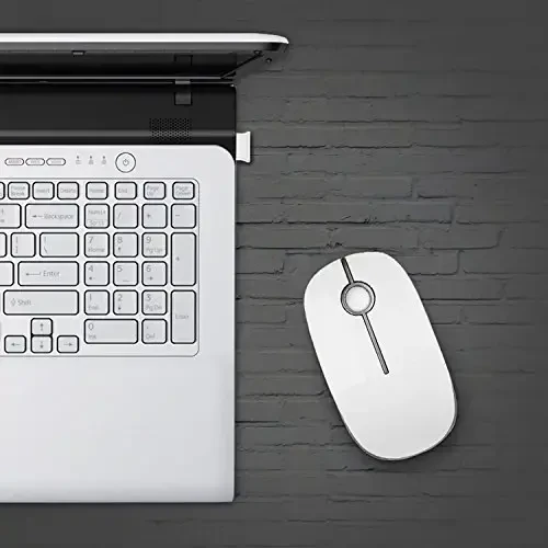 VssoPlor simsiz sichqonchasi, 2,4G Slim Portativ Kompyuter noutbuk sichqonchasi Nano qabul qilgichli Tinch optik sichqonchalar noutbuk, shaxsiy kompyuter, noutbuk, kompyuter uchun - Oq va kumush - 6