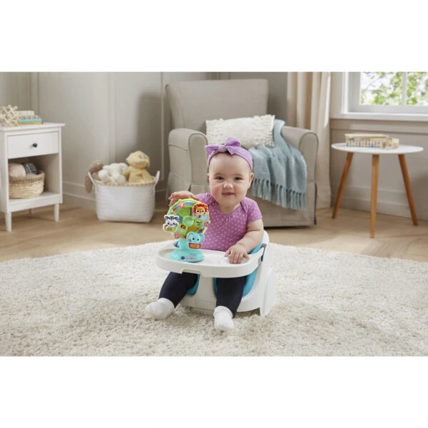 VTech Baby Turn & Learn Ferris Wheel Baby and Toddler Toys - VTECH (1)