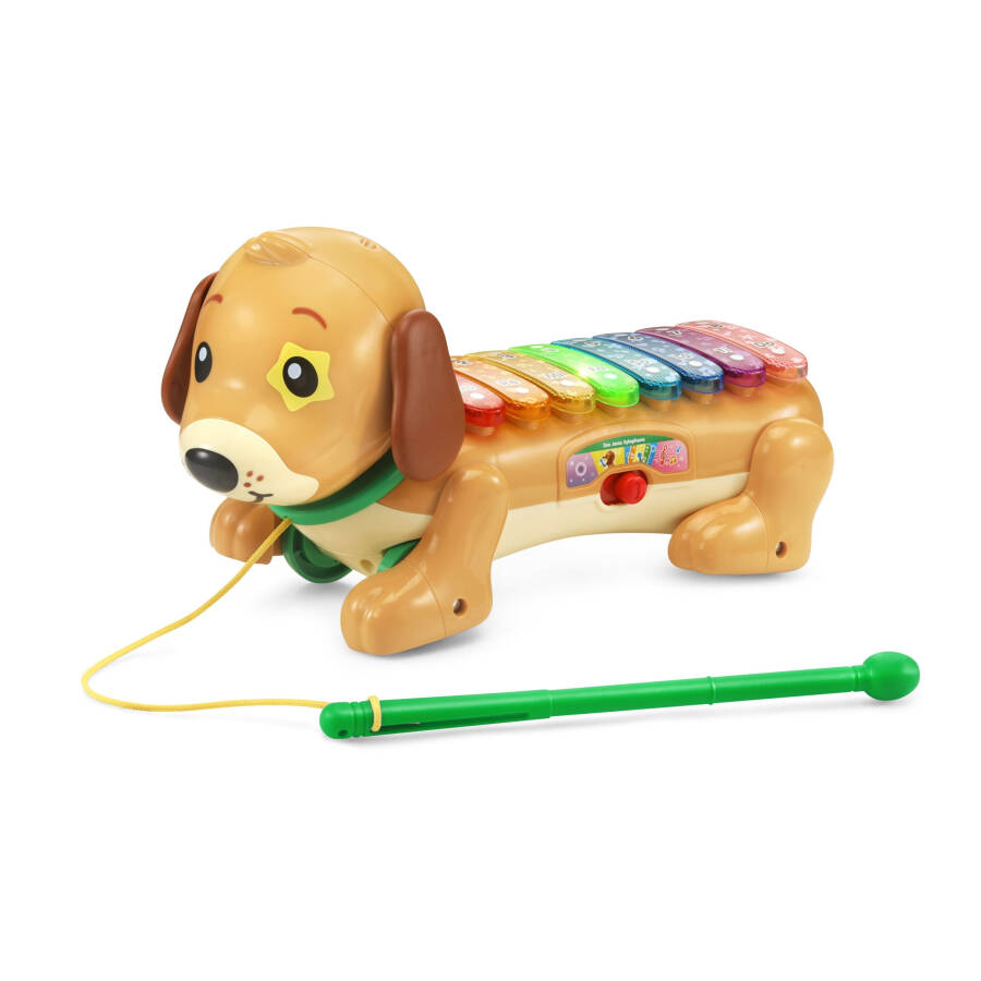 VTech® Hayvanat Bahçesi Jamz® Köpek Ksilofon Oyuncak Müzik Aletleri Bebek ve Yürümeye Başlayan Çocuk Oyuncakları - 10