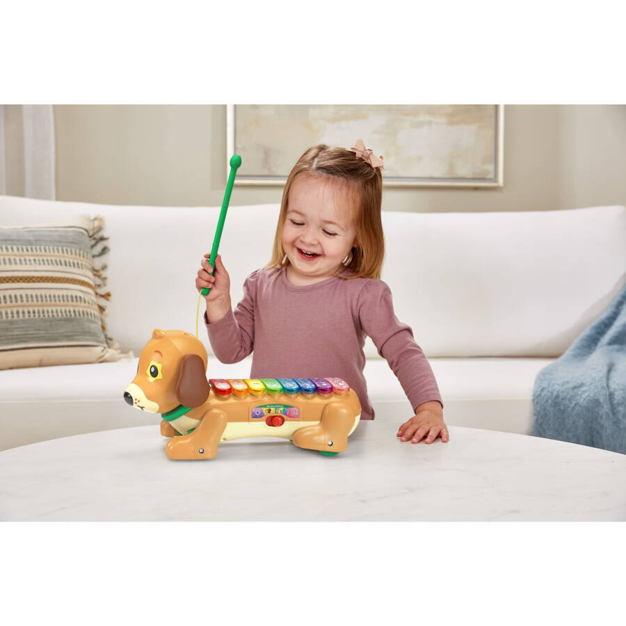 VTech® Hayvanat Bahçesi Jamz® Köpek Ksilofon Oyuncak Müzik Aletleri Bebek ve Yürümeye Başlayan Çocuk Oyuncakları - 14