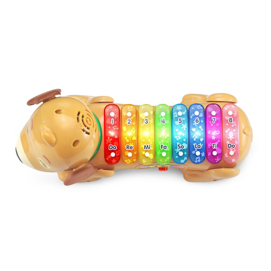 VTech® Hayvanat Bahçesi Jamz® Köpek Ksilofon Oyuncak Müzik Aletleri Bebek ve Yürümeye Başlayan Çocuk Oyuncakları - 17