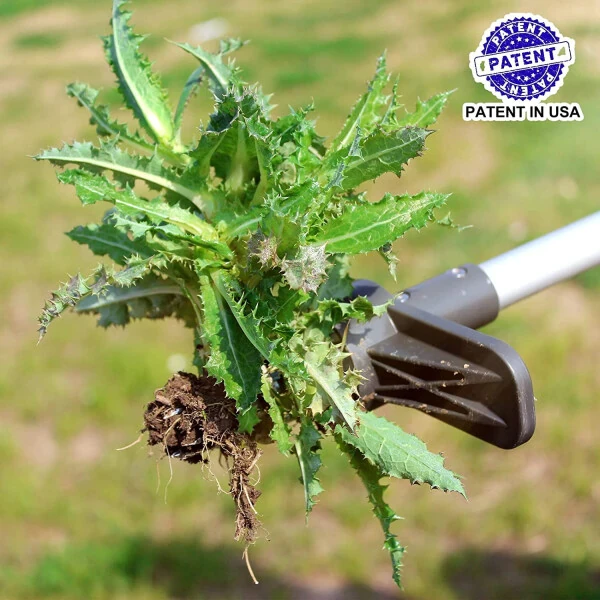 Walensee Upgraded Weed Puller, Stand Up Weeder Hand Tool, Long Handle Garden Weeding Tool with 5 Claws, Hound Weed Puller for Dandelion, Standup Weed Root Pulling Tool and Picker, Grabber (1 Pack) - Modazone (1)