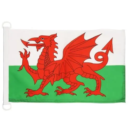 Wales NAUTICAL Flag 18'' x 12'' - Welsh flags 30 x 45 cm. - Banner 12x18 in for boat - AZ FLAG - 2