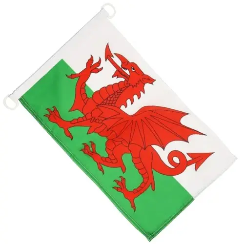 Wales NAUTICAL Flag 18'' x 12'' - Welsh flags 30 x 45 cm. - Banner 12x18 in for boat - AZ FLAG - 3