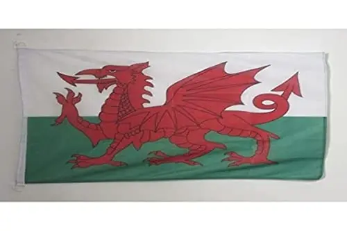 Wales NAUTICAL Flag 18'' x 12'' - Welsh flags 30 x 45 cm. - Banner 12x18 in for boat - AZ FLAG 