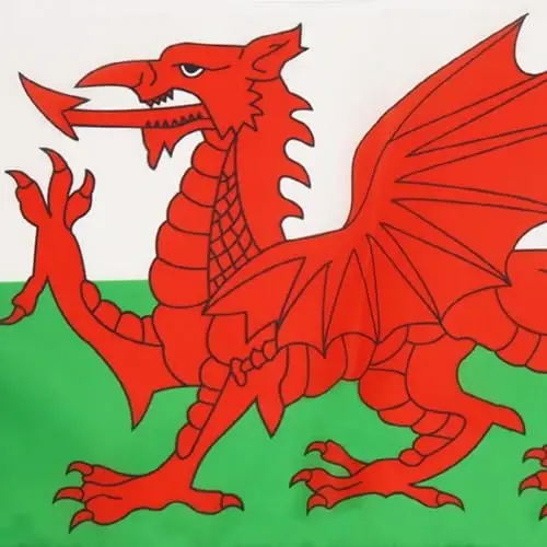 Wales NAUTICAL Flag 18'' x 12'' - Welsh flags 30 x 45 cm. - Banner 12x18 in for boat - AZ FLAG - 4