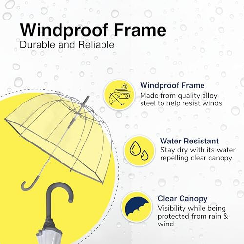 Weather Station Rain Umbrella, Automatic Compact Clear Dome Folding Umbrella, Windproof, Waterproof, Lightweight, and Packable for Travel - 2