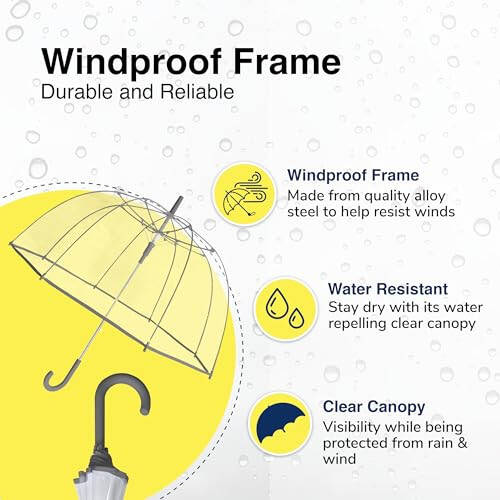 Weather Station Rain Umbrella, Automatic Compact Clear Dome Folding Umbrella, Windproof, Waterproof, Lightweight, and Packable for Travel - 2