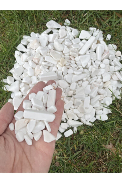 White Dolomite Stone 1 Kg 1-3 Cm Vase Bottom Stone Decorative Aquarium Garden Ornamental Stones Pot Stone - 1