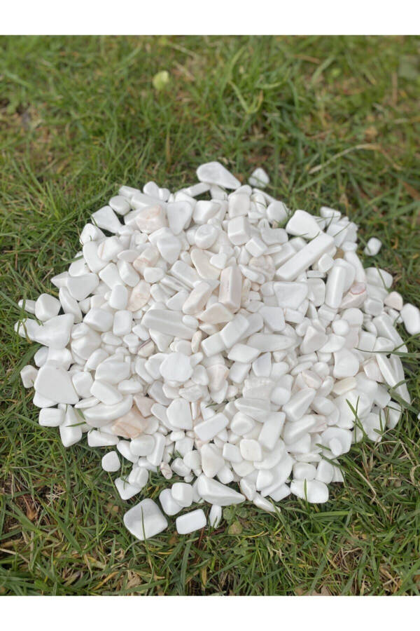 White Dolomite Stone 1 Kg 1-3 Cm Vase Bottom Stone Decorative Aquarium Garden Ornamental Stones Pot Stone - 2