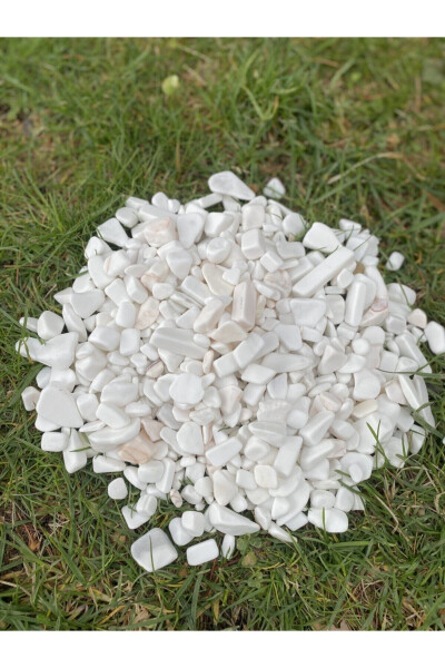 White Dolomite Stone 1 Kg 1-3 Cm Vase Bottom Stone Decorative Aquarium Garden Ornamental Stones Pot Stone - 7