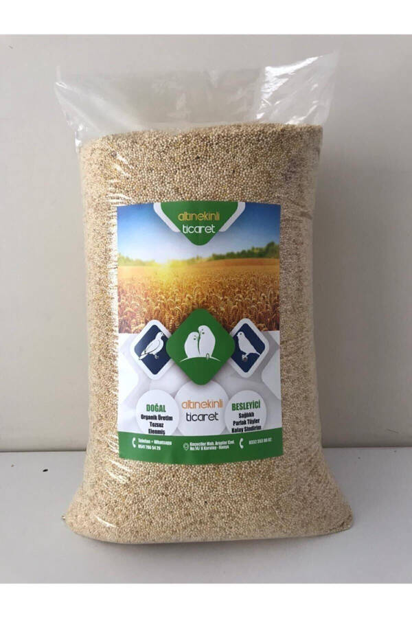 White Millet Parakeet Bird Food White Millet 5kg Free Shipping - 1