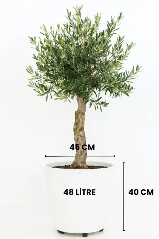 White Wheeled Pot 48 Liters Large Pot Wide Volume Wheeled Pot White 40 Cm - 2