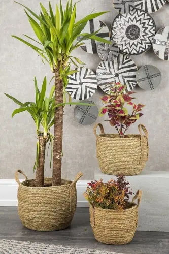 Wicker Basket 3 Size Luxury Organizer, Planter Basket, Decorative Basket, Home Decor - 2