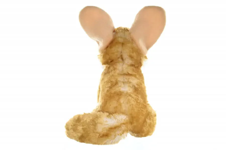 Wild Republic Fennec Fox Plush, Stuffed Animal, Plush Toy, Gifts for Kids, Cuddlekins, 12 Inches - 2