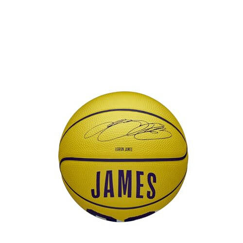 WILSON NBA Player Icon Outdoor Basketball - 5