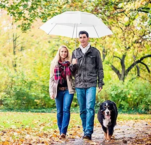 Windproof Travel Umbrellas for Rain - Lightweight, Strong, Compact with & Easy Auto Open/Close Button for Single Hand Use - Double Vented Canopy for Men & Women - 6