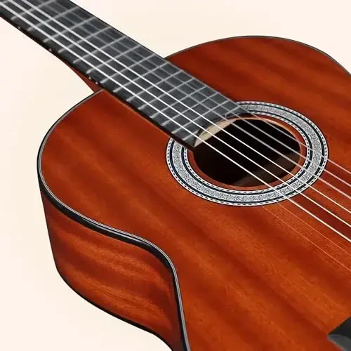 WINZZ 4/4 Klassik Gitarasi, 39 dyuymli to'liq o'lchamli neylon torli gitarasi, boshlang'ich kattalar uchun, bepul darslar bilan to'liq klassik gitara to'plami, Gig Bag, oyoq osti stuli, Kapo, Tuner, ilgich va tasma (Yaltiroq jigarrang) - 5