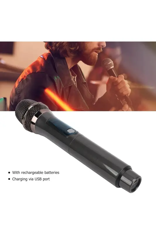 Wireless Karaoke Dual Microphone 6.35mm Stage Performance Party Activity Amplifier Speaker Wn06 Bluetooth-free - 4