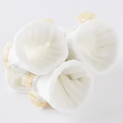 Witwot 6 juft chaqaloq qizlar uchun burmali to‘piqli paypoqlar Toddler Boys Dress Paypoq Yumshoq Paxta o‘lchami 6M - 7Y - 6