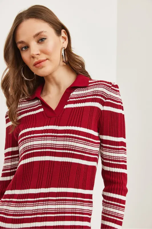 Woman Burgundy Striped Ribbed Polo Collar Maxi Knit Dr - 7