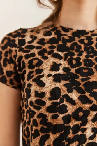 Woman Leopard Stone Crew Neck Short Sleeve Leopard T - 5